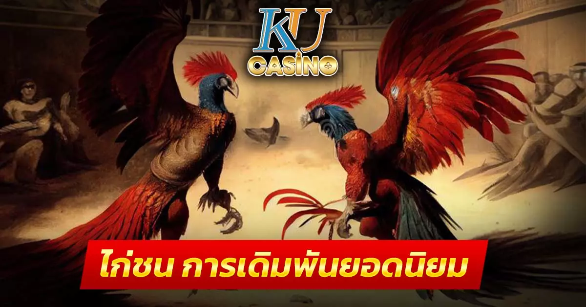 ไก่ชน การเดิมพันยอดนิยม
