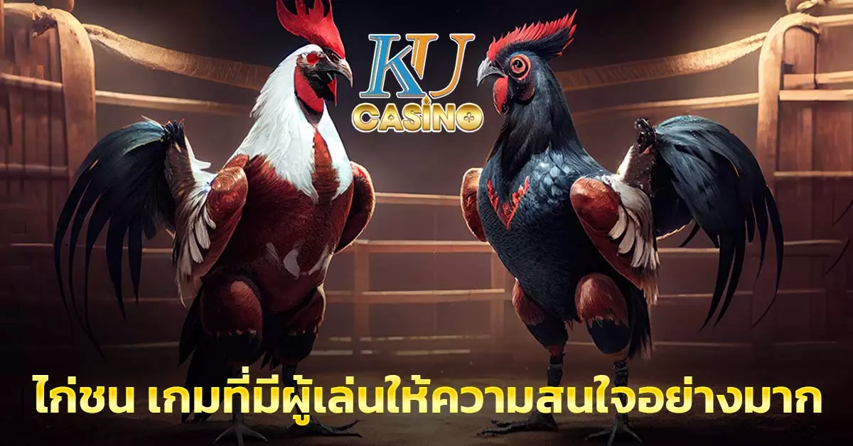 ไก่ชน เกมที่มีผู้เล่นให้ความสนใจอย่างมาก